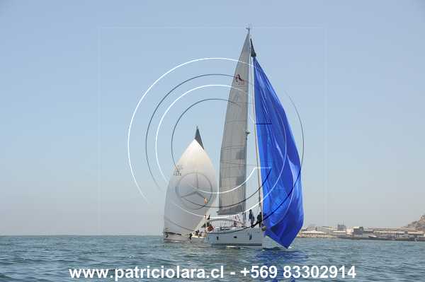 DSC_7354.JPG
