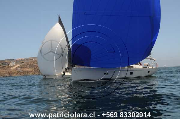 DSC_7372.JPG