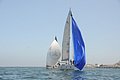 DSC_7354.JPG
