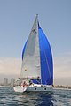 DSC_7395.JPG