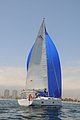 DSC_7396.JPG
